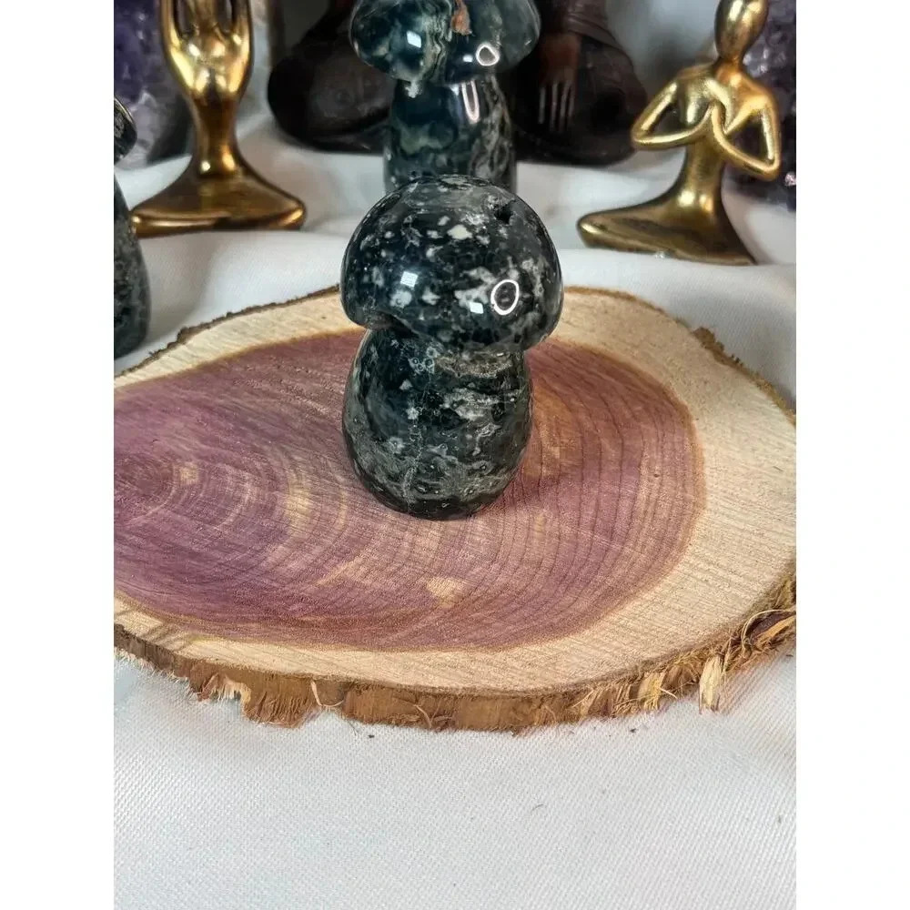 Ocean Jasper Mushroom